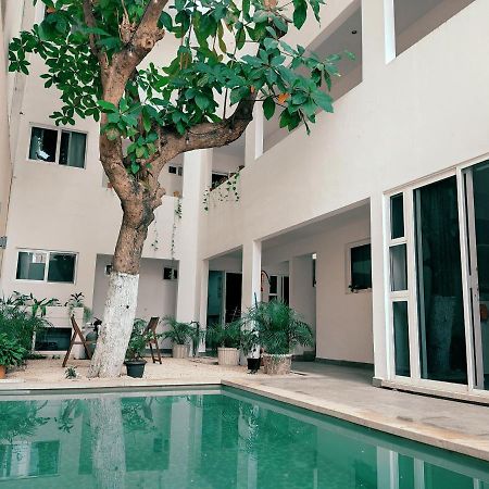 Cozy Studios Zazil-Ha Плая-дель-Кармен Экстерьер фото