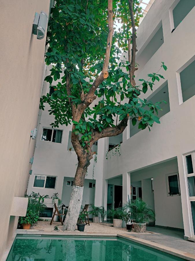 Cozy Studios Zazil-Ha Плая-дель-Кармен Экстерьер фото