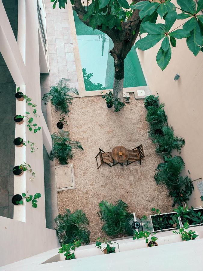 Cozy Studios Zazil-Ha Плая-дель-Кармен Экстерьер фото